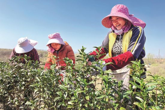 85c262f0-a573-450c-bd40-25bdcec4311a