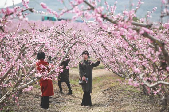 0be92512-bc54-46d4-92c4-512eb575a592