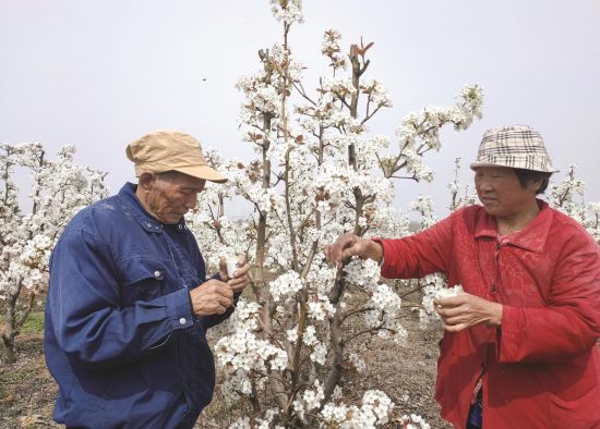 1a204d6e-1702-4d04-b33e-4eaa1fa134d5