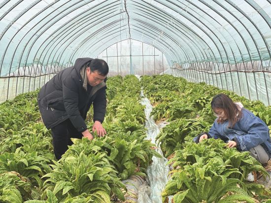 d32666ed-ceb4-4209-b246-2fd32d0c33ef