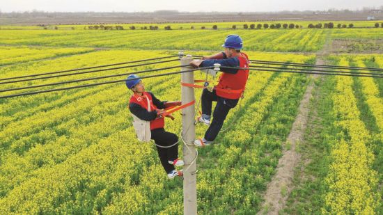 7469512c-c9eb-47d1-8ecc-9ab2b3e38489