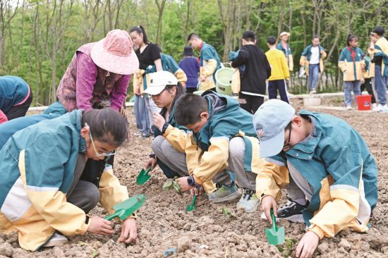 d33bb043-f78b-46af-b742-f3ae8b831de6