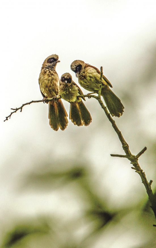 归途小憩 陈家斌/摄