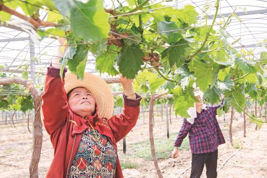 864d0e10-123c-46f5-af6f-615ce7193068