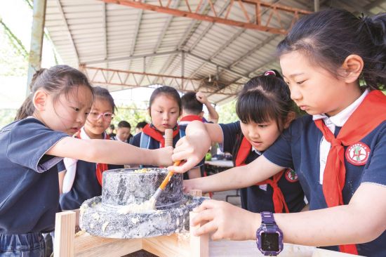 95057e14-07fa-478b-9f98-a70b8fc40a3e