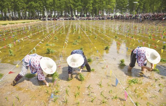 aca19934-2aaf-4a1e-a0bd-d5738bc4f136