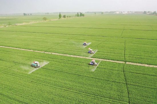 03591b19-e214-421b-8c13-96711e2e55e4