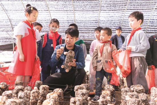 2decd5c6-dbd7-4cf4-a6b3-8f0c9bffa8d4