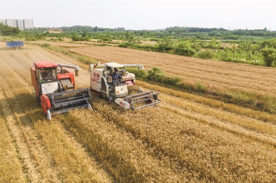 f5b4829d-c064-4276-81f7-1ac2ae0ab726