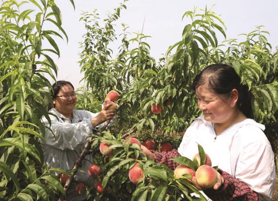 dedd1527-e85b-4a88-aabe-b47756834099