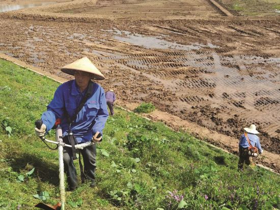 ee0279d6-06bb-4fa9-af65-b141d2dd29da