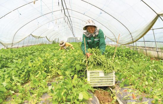 a5a847e1-f6db-421b-81b5-228c97e1b89b