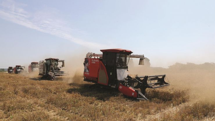 抓晴天抢麦收确保颗粒归仓