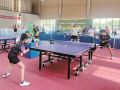 全民健身 “乒”出精彩
