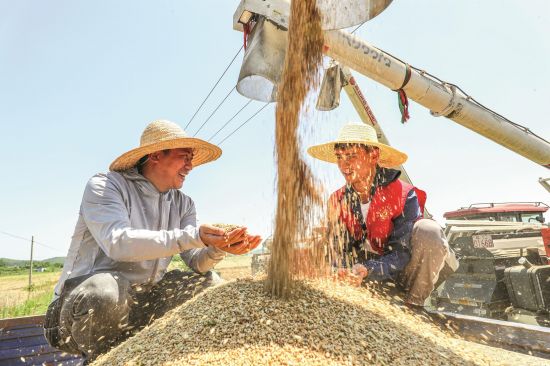 95979db9-29eb-45b3-b48b-0653decda395