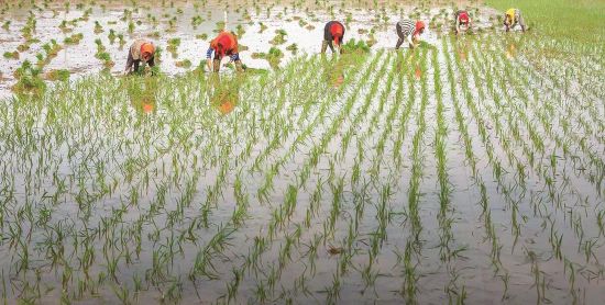 97028245-93b2-4cb7-8c70-60c2509ff4a8