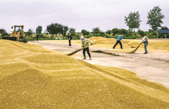 435c7cdb-8316-4a72-a3f5-0470979b4c69