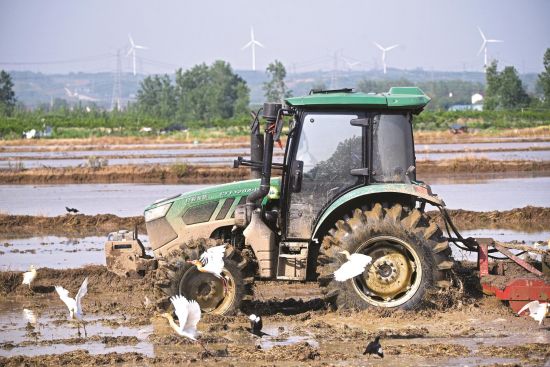 057a54a4-7428-4940-8d57-d5fa1f48fc94