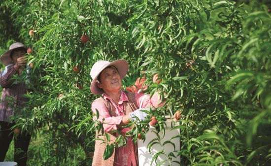 050ad9e8-fc29-4c9b-8530-7ea70d90f06f