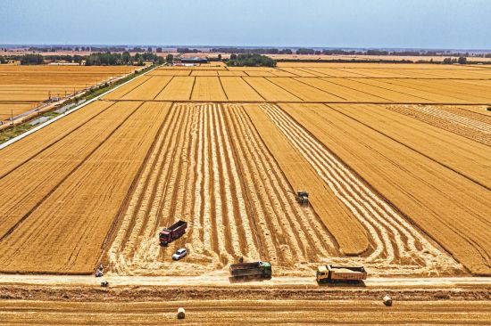 f8475c07-79b5-4396-845e-e728af9747a2