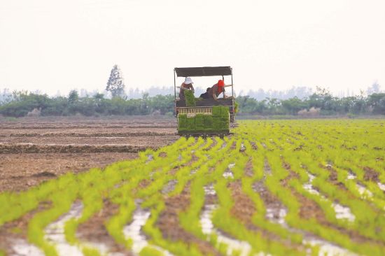 fd4a5226-e167-4b73-bb84-3f2c101c9862