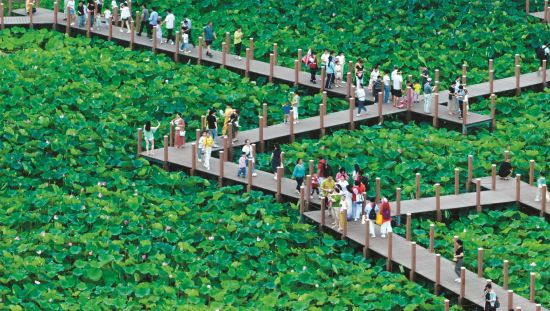 bb6c6a31-3c64-41bb-b13f-33d9d427c3af