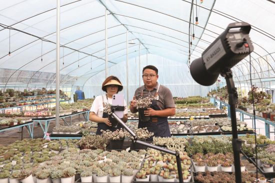 cd7e2bd5-dfe8-4c04-89fa-4030d505524f