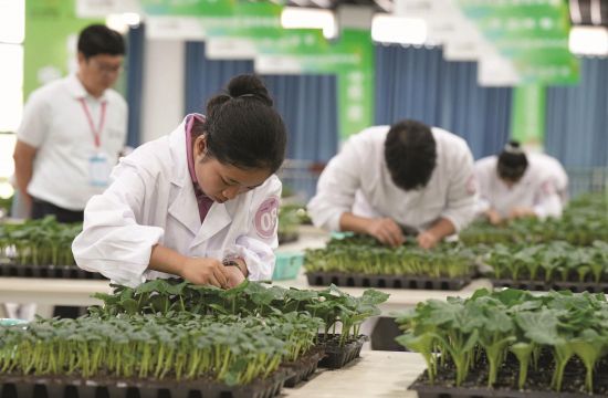 d2b942db-98cc-4513-aa67-cfafa79a4dd7