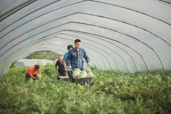 03fc2bcf-a43c-4b0f-9f8f-bcc95535c19b