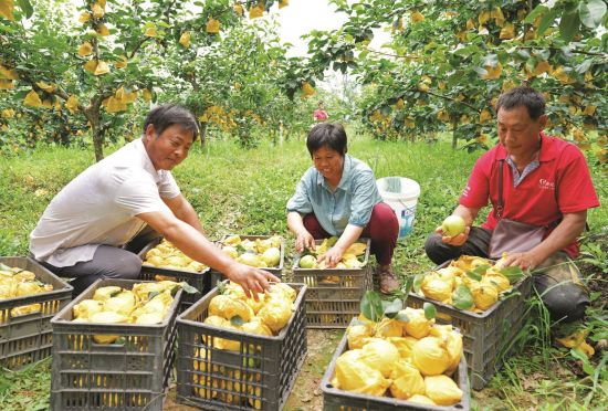 dc10fdbc-e06c-40f8-8de1-0dc0ead8e7fa