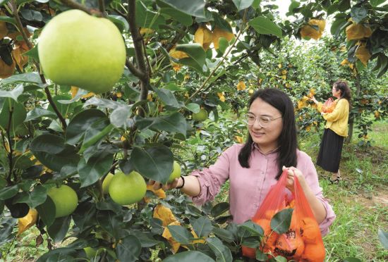 e0ec06c2-82d5-4d95-bd4e-ef17d11fbea4