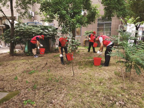 ccbb28f7-b0c2-4d84-84ea-c3b08189d79a