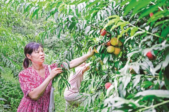 d8c78ee5-0922-4d43-a94b-f9252db70b2b