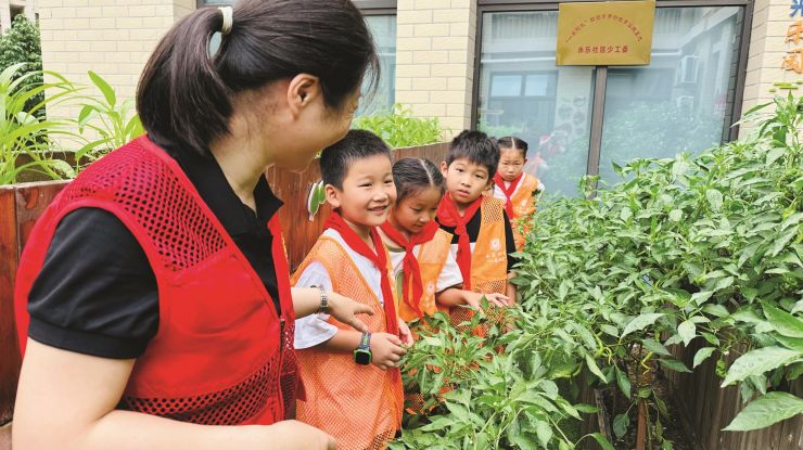 缤纷暑假 悦享劳动