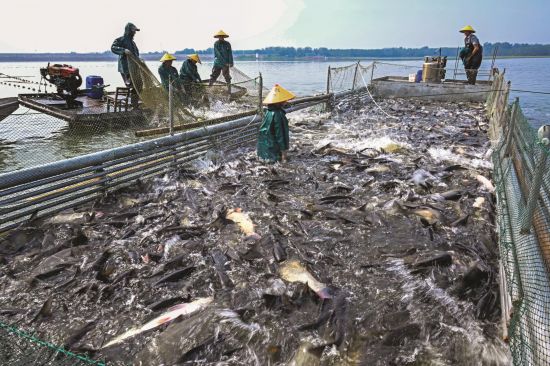 7753076e-666d-4a8f-9652-33d96d69fd76