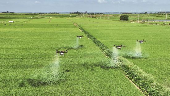 aee78c11-33f7-49a2-ae07-5f48369bbeb5