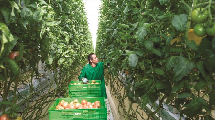 数字智慧助力农业发展