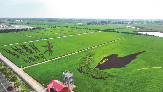 03acaaf9-a98c-49ab-818a-034d011890c0