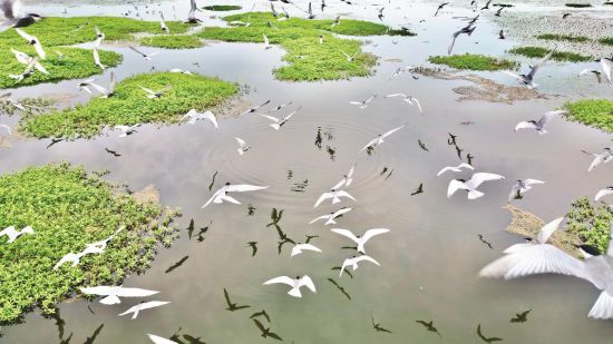 289990ef-3614-4a36-8f9a-cd582d317010