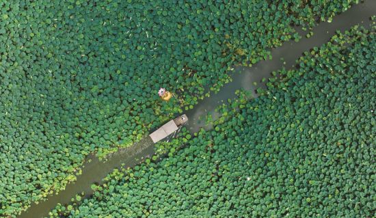 ddca40a0-358d-47d2-8ca1-b82acda254f9