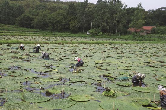 4dfcd886-b9ad-432b-9901-186094177357