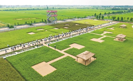 6ec4486c-7157-41a0-b5d9-64c60d7874d5