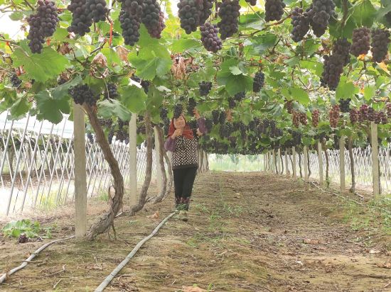 b5dc6923-c5fb-41a9-83de-33c3c0ad08de