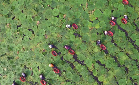 9587afe4-1940-4a4b-8a12-a28d0445bea3