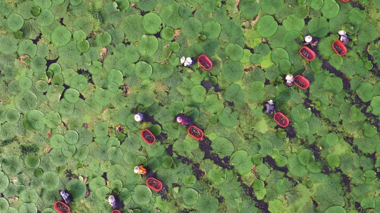 “金豆豆”照亮“致富路”