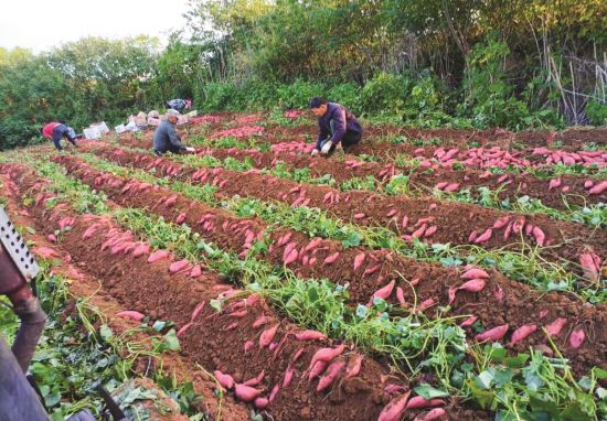 044e0508-42c0-46ae-ab7f-48a53ec37f1a