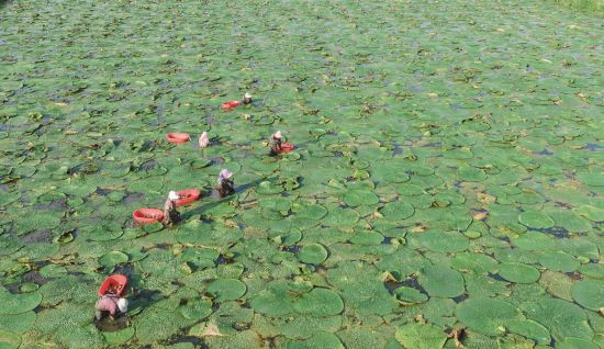 d3e568fb-5dac-4dbc-a16e-4433d39fe29c