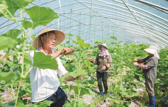 b0a862de-8152-412b-a821-4d04305daf4d