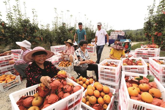 c323e8e8-eb3d-437a-8a3d-7c4ab50ddda9