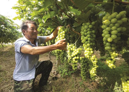 98231a96-88e9-44cc-9036-da60a809e913